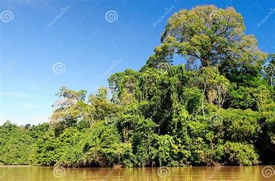 《斗仙界》0.1折手游新體驗(yàn) 爽快世界，代理開發(fā)新機(jī)遇